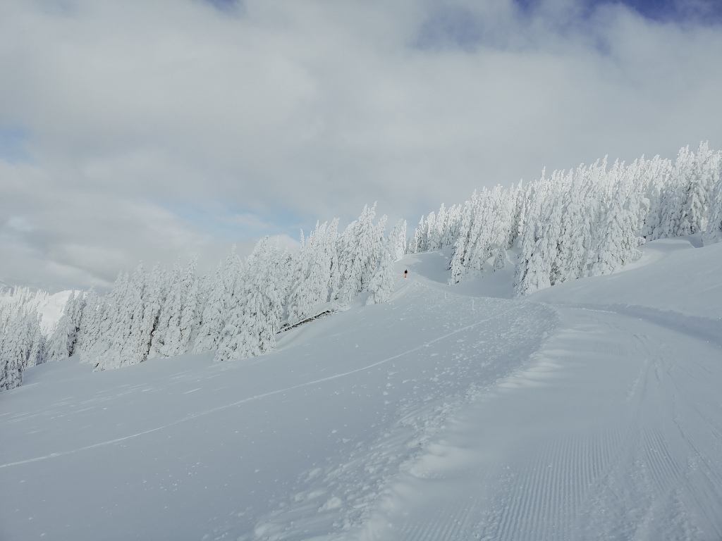 Ein Winter-Tag im… Großarltal in Ski amadé